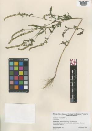 6706-Service File.jpg