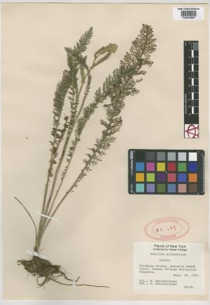 6721-Service File.jpg