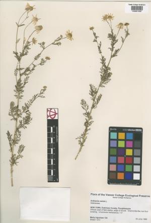 6733-Service File.jpg