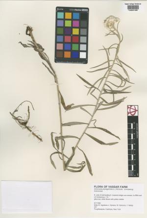 6737-Service File.jpg