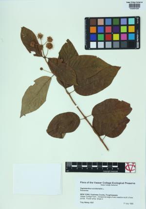 6749-Service File.jpg