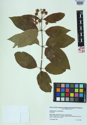 6750-Service File.jpg