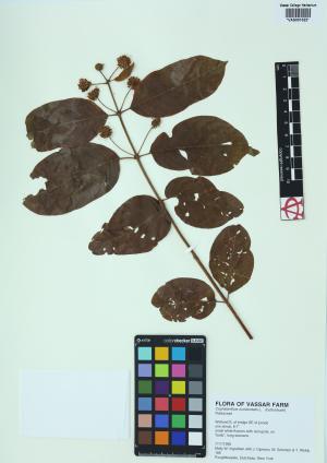 6751-Service File.jpg