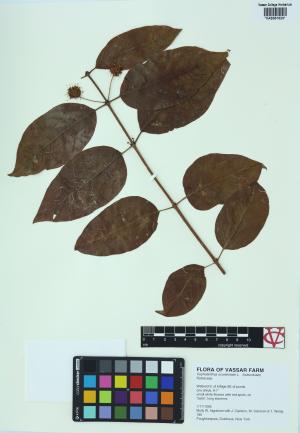 6752-Service File.jpg
