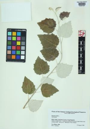 6757-Service File.jpg