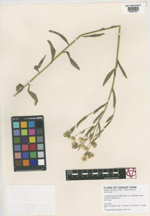 6784-Service File.jpg