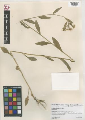 6787-Service File.jpg