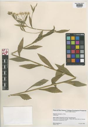6788-Service File.jpg