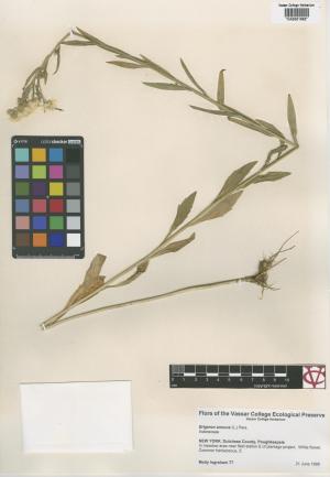 6789-Service File.jpg