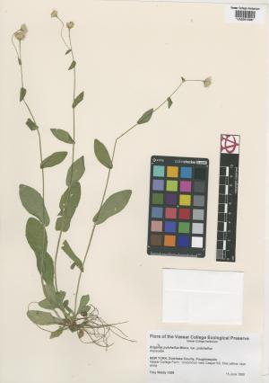 6812-Service File.jpg