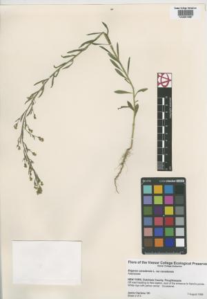 6814-Service File.jpg