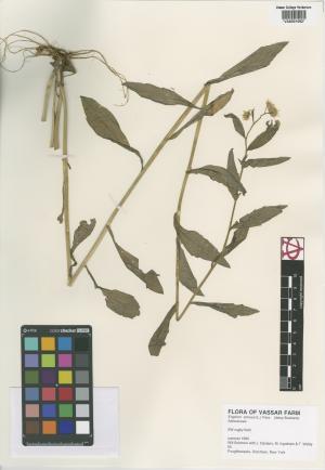 6818-Service File.jpg