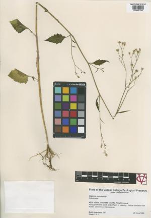 6845-Service File.jpg