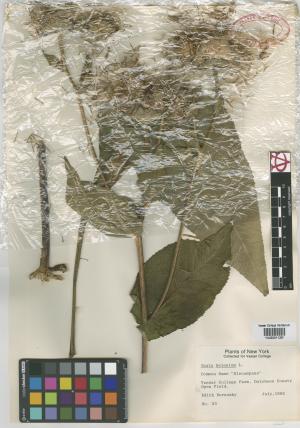 6850-Service File.jpg