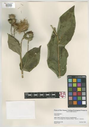 6853-Service File.jpg