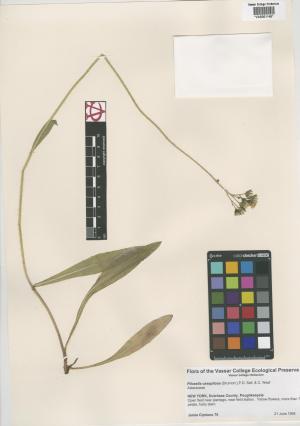 6869-Service File.jpg