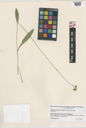 6870-Service File.jpg