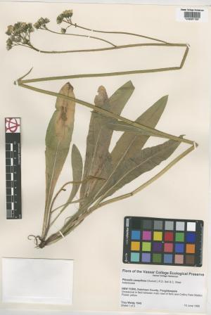 6871-Service File.jpg