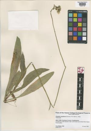 6873-Service File.jpg