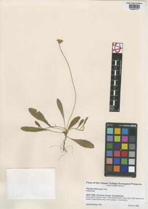 6892-Service File.jpg