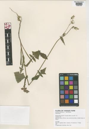 6900-Service File.jpg