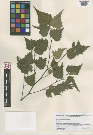 6939-Service File.jpg