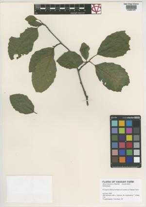 6948-Service File.jpg