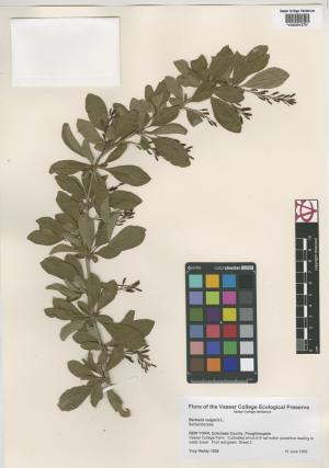 6953-Service File.jpg