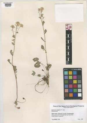 6956-Service File.jpg