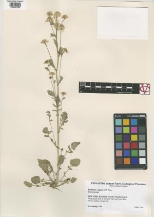 6957-Service File.jpg