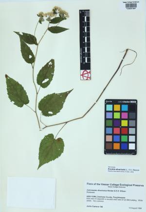 6986-Service File.jpg