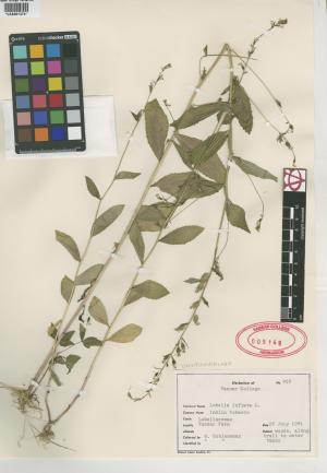 6992-Service File.jpg