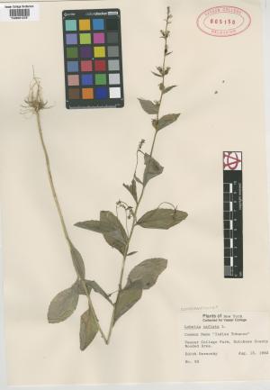 6993-Service File.jpg