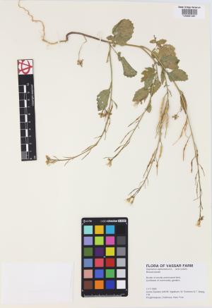 6999-Service File.jpg