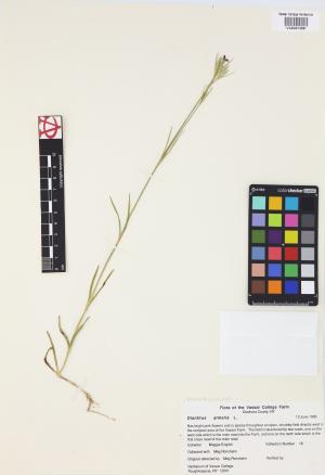 7006-Service File.jpg