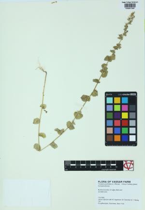 7008-Service File.jpg