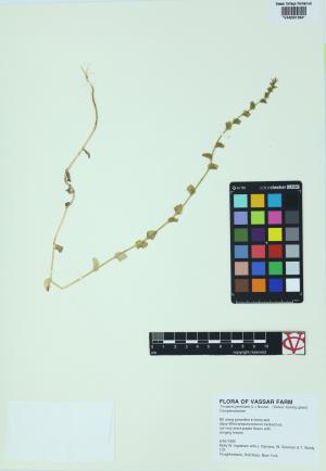 7012-Service File.jpg