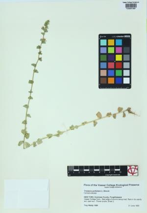 7013-Service File.jpg