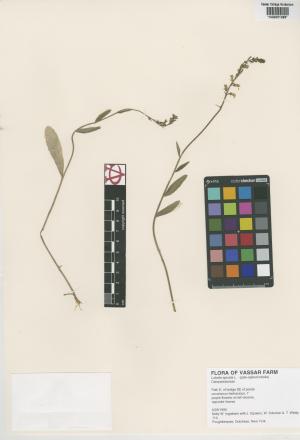 7017-Service File.jpg