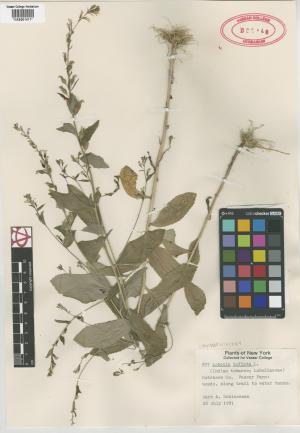 7029-Service File.jpg
