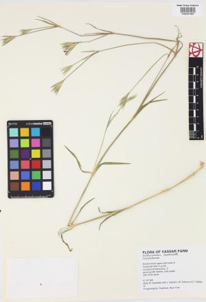 7033-Service File.jpg