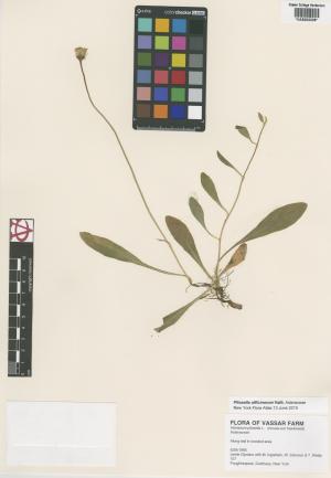 10055-Service File.jpg
