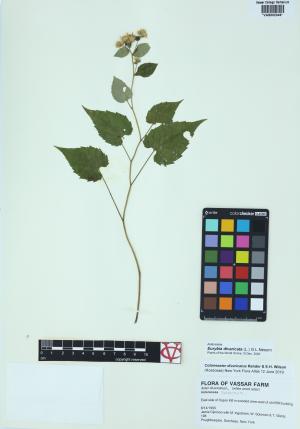 10062-Service File.jpg