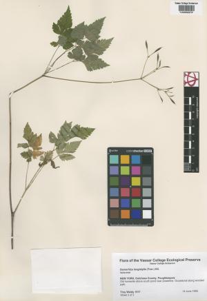 10085-Service File.jpg