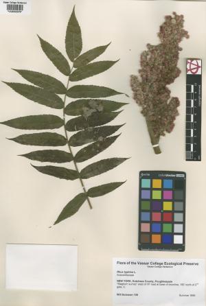 10090-Service File.jpg