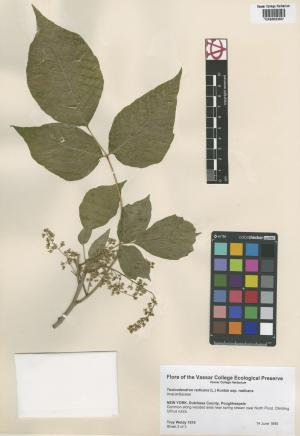 10094-Service File.jpg