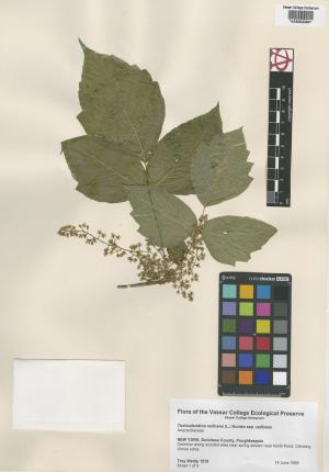 10095-Service File.jpg
