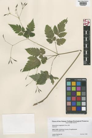 10096-Service File.jpg