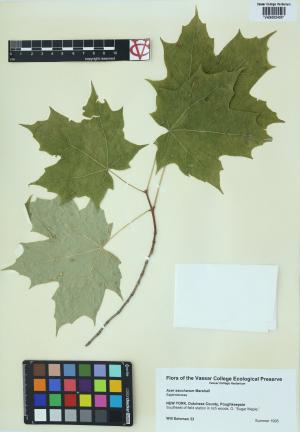 10112-Service File.jpg