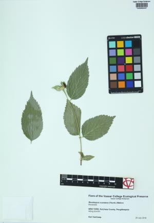10130-Service File.jpg
